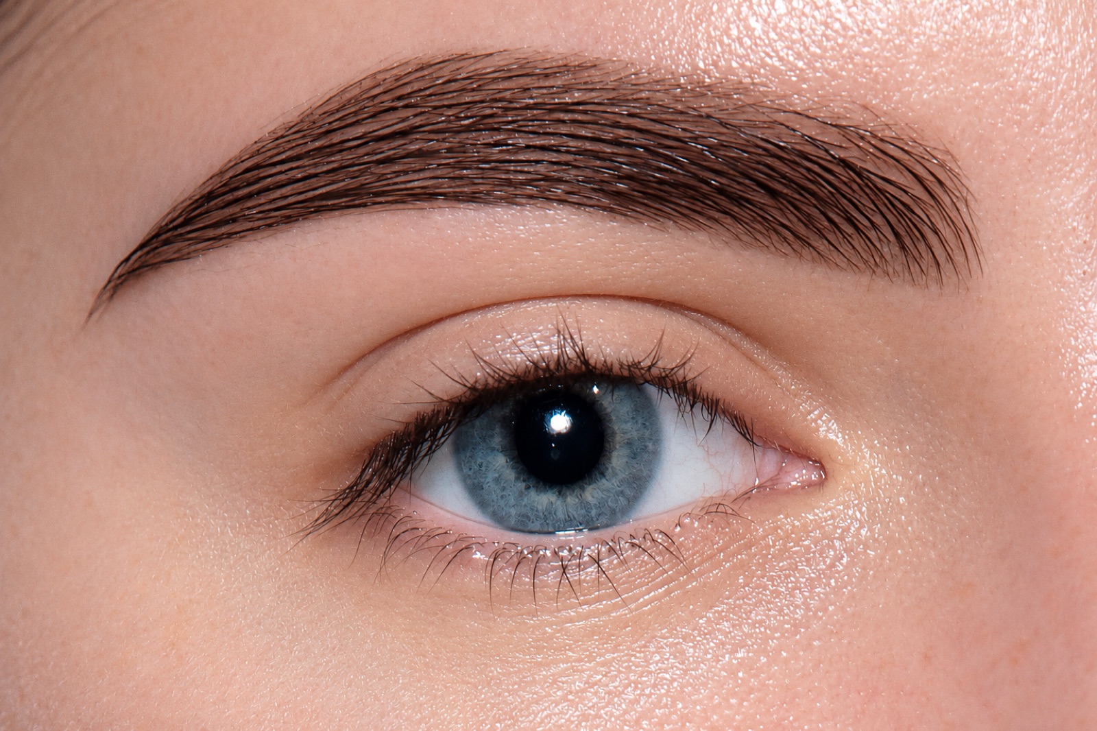 Eyebrows